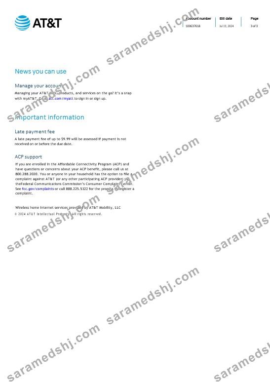 Saint Lucia internet business utility bill Word and PDF template, 3 page